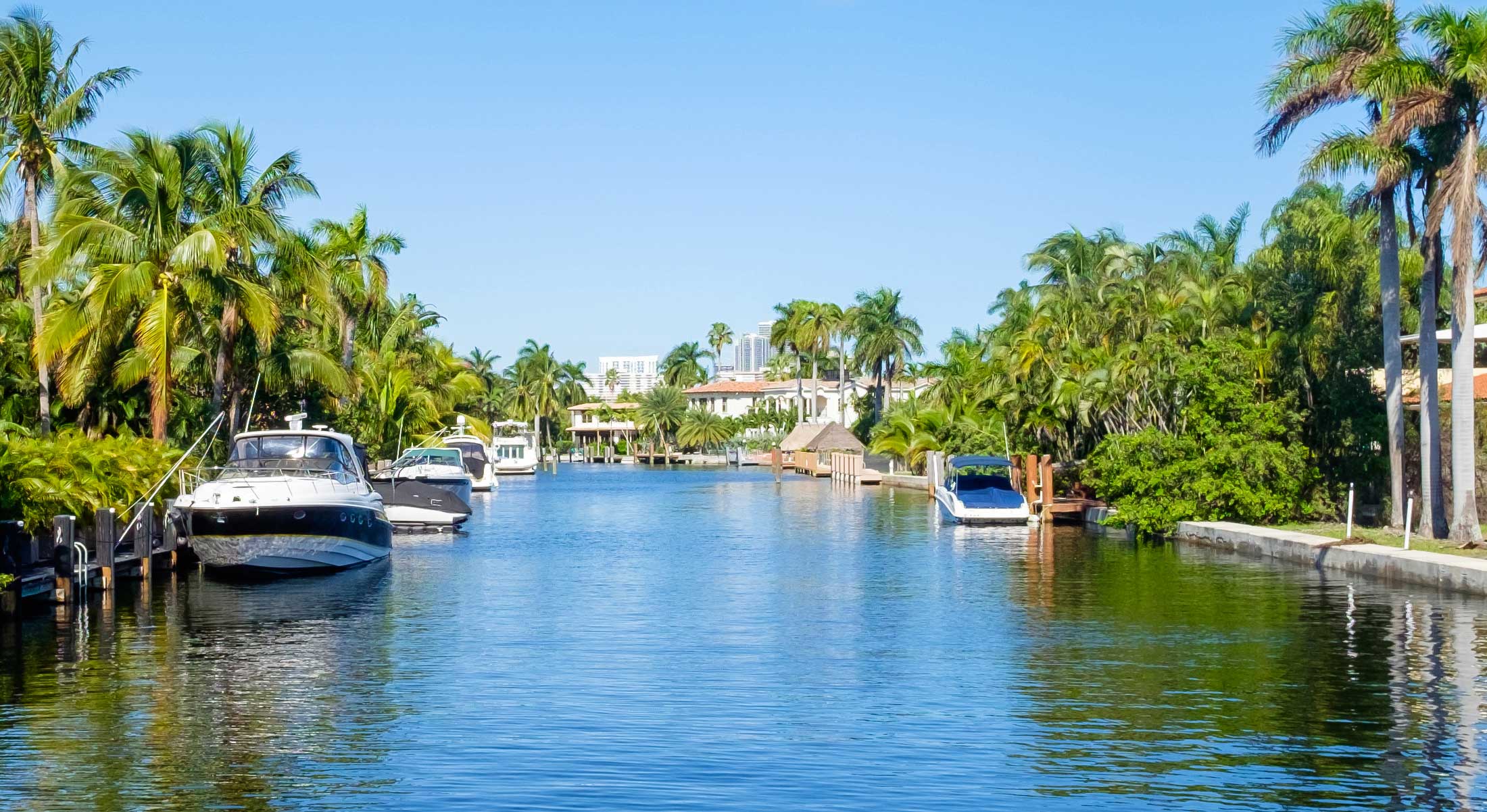 Canal, palm trees, boats and homes.